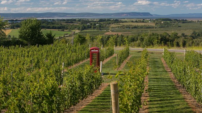 Luckett_Vineyards_Gaspereau_Valley_Nova_Scotia_Canada