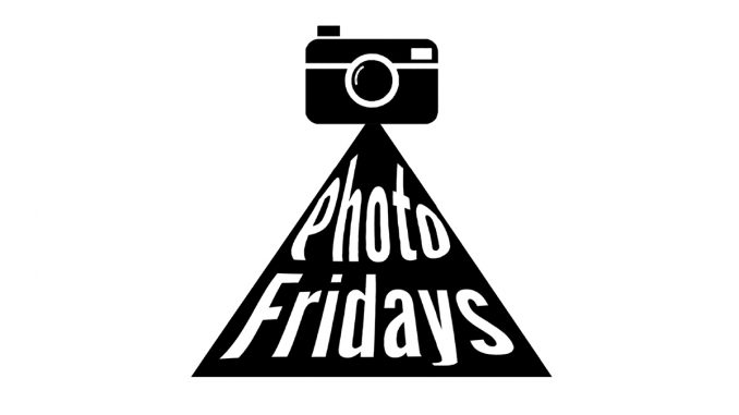 photo friday*