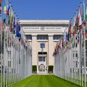 What I Learned as a UN Intern