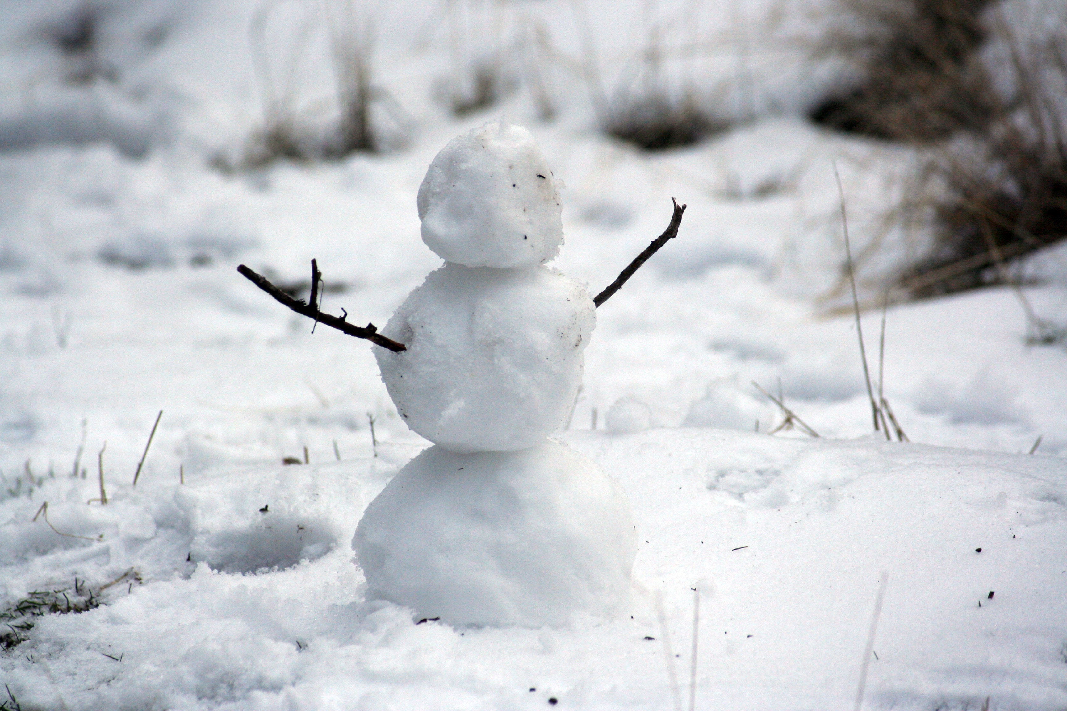 Мелкий снежок. Снеговик. Маленький Снеговик. Снеговик зимой. Снеговик из снега.