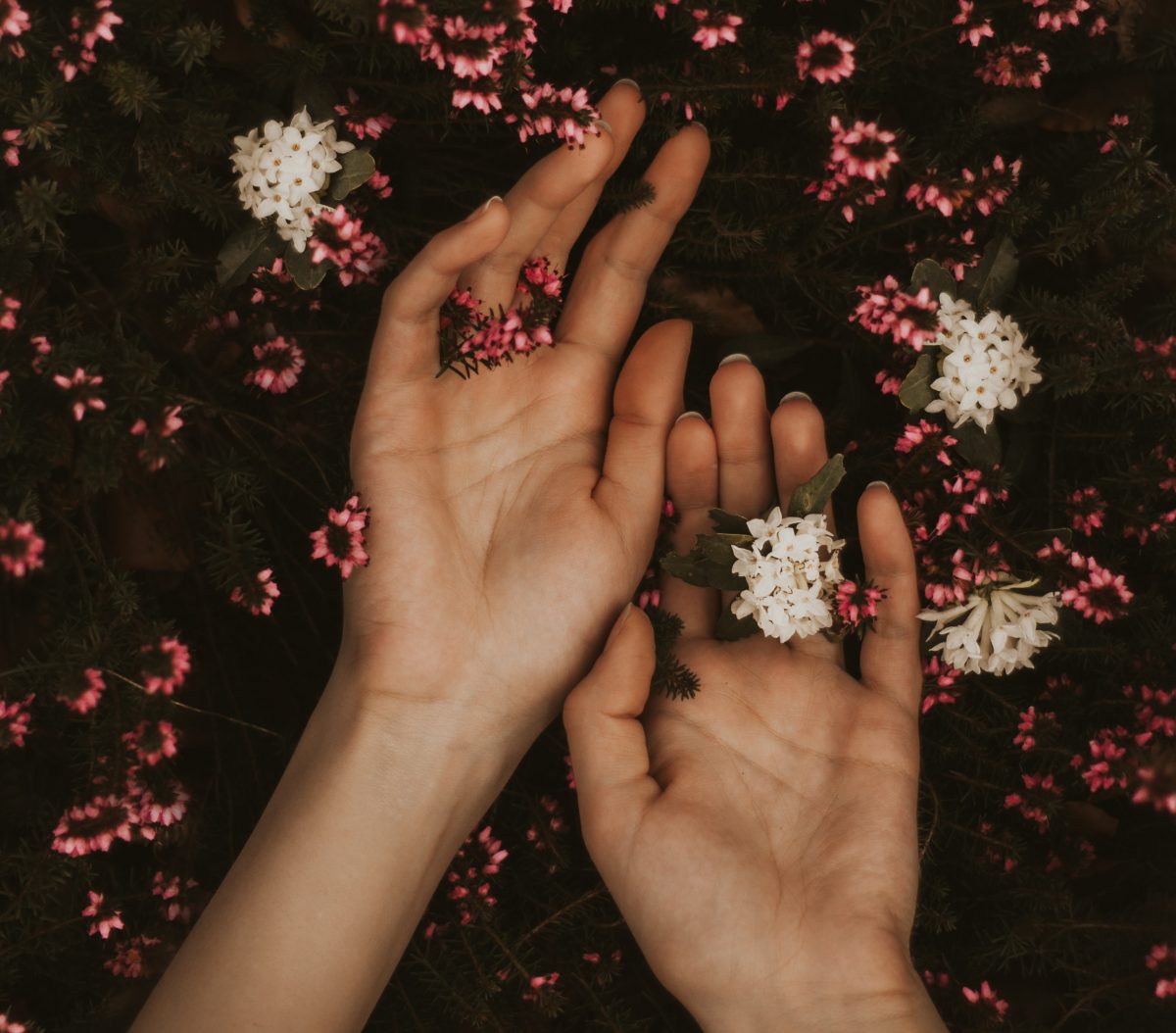 Being Bisexual…what’s new?