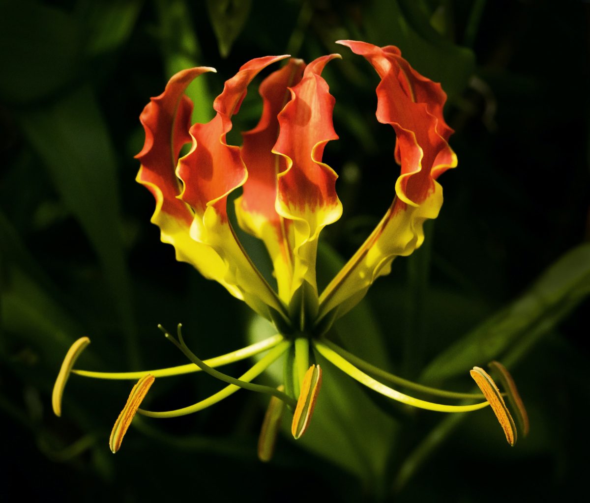 My Time at Acadia University