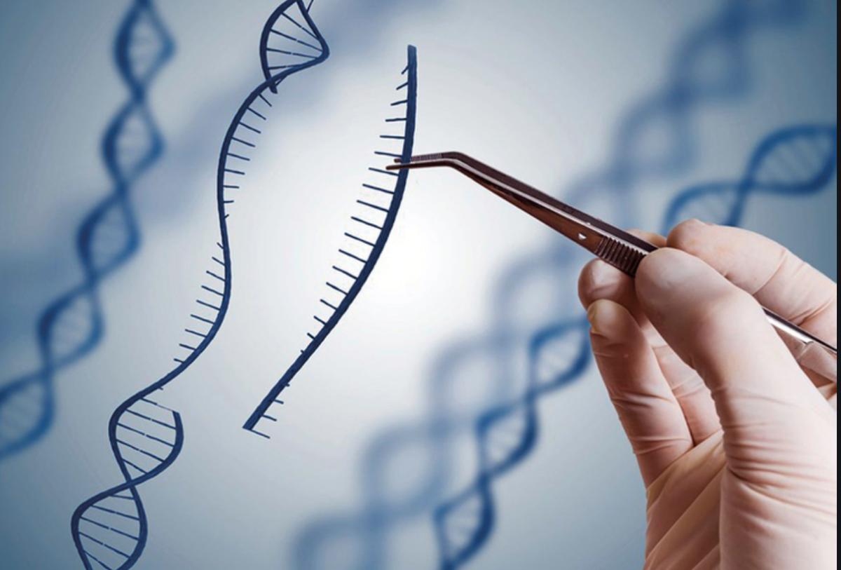 Genetic Scissors, The Tool That Will Serve to Rewrite the Code of Life: Nobel Prize in Chemistry 2020