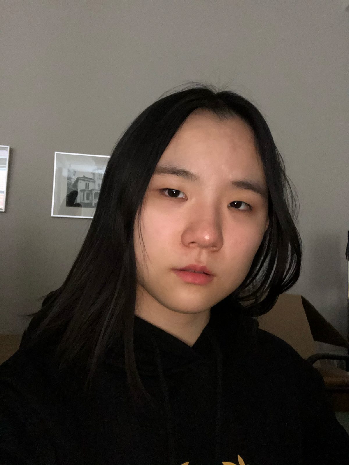 Professional Studies Senator: Chiara Lu